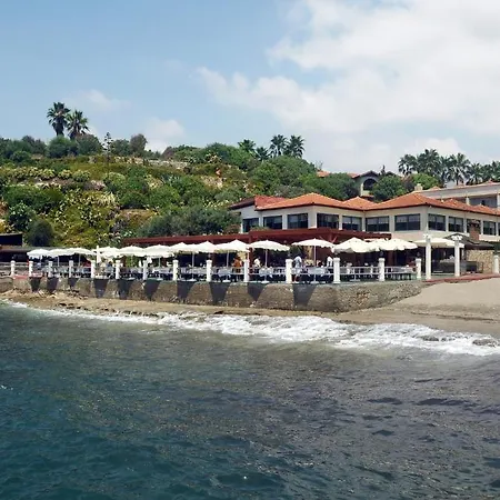 Club Tropical